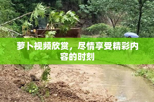 萝卜视频欣赏，尽情享受精彩内容的时刻
