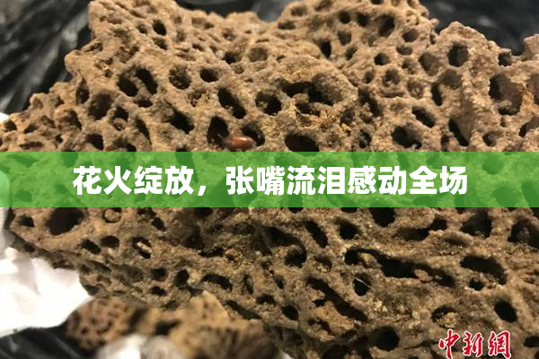 花火绽放，张嘴流泪感动全场