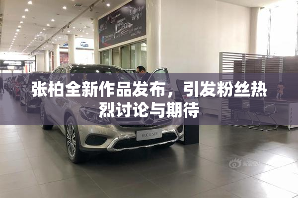 张柏全新作品发布，引发粉丝热烈讨论与期待