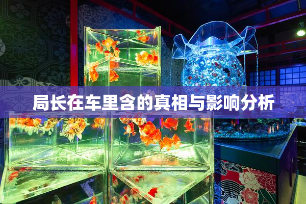 局长在车里含的真相与影响分析