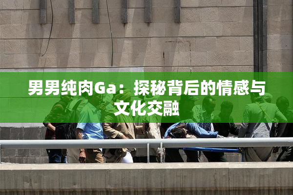 男男纯肉Ga：探秘背后的情感与文化交融