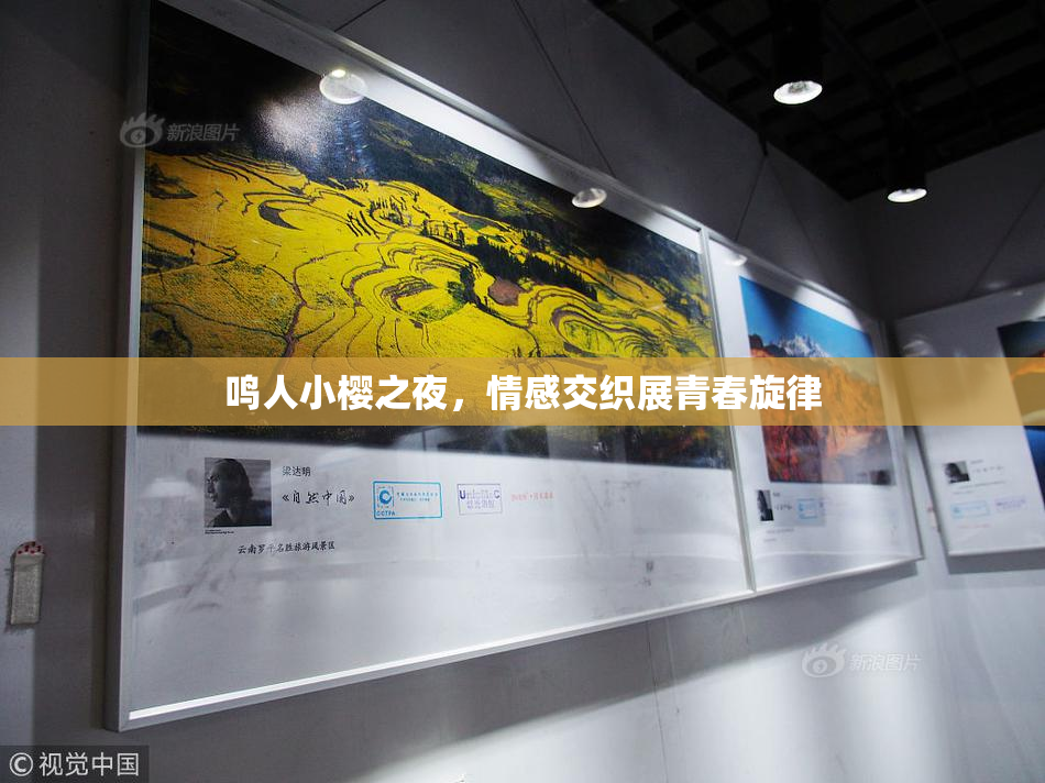 鸣人小樱之夜，情感交织展青春旋律
