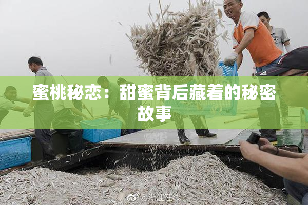 蜜桃秘恋：甜蜜背后藏着的秘密故事