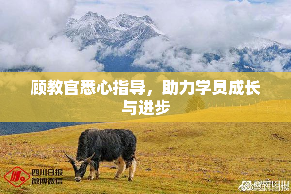 顾教官悉心指导，助力学员成长与进步