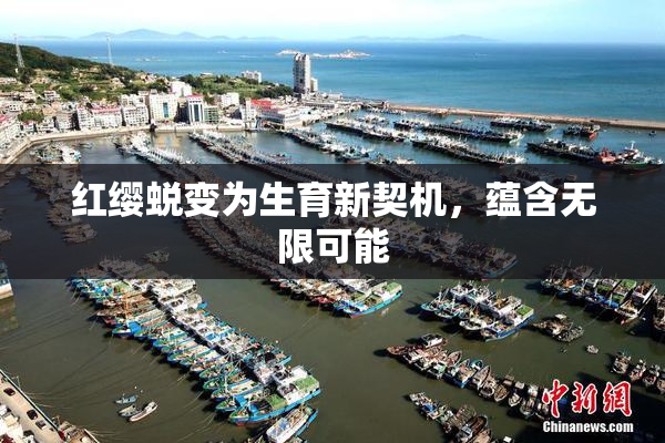 红缨蜕变为生育新契机，蕴含无限可能