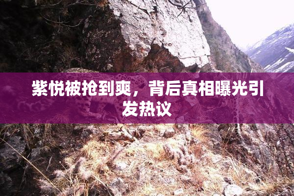 紫悦被抢到爽，背后真相曝光引发热议