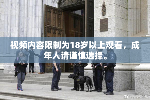 视频内容限制为18岁以上观看，成年人请谨慎选择。
