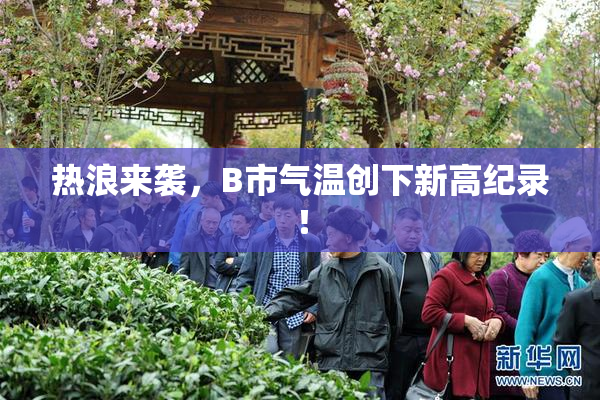 热浪来袭，B市气温创下新高纪录！