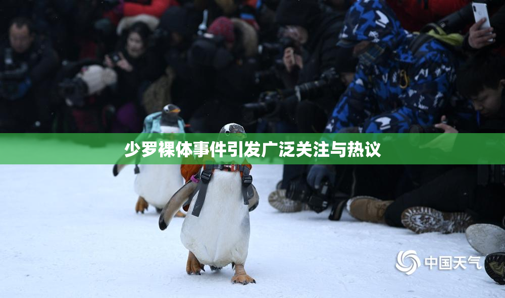 少罗裸体事件引发广泛关注与热议