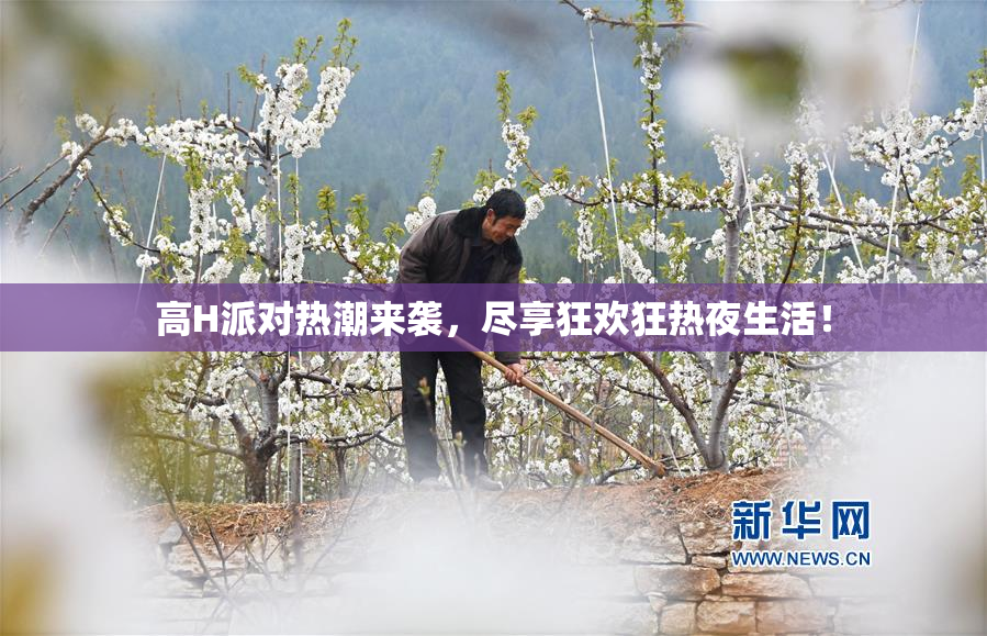 高H派对热潮来袭，尽享狂欢狂热夜生活！