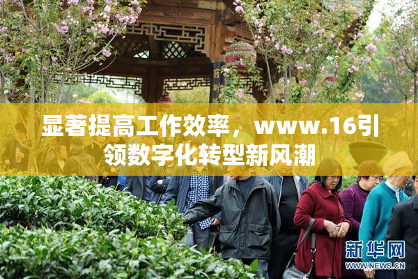 显著提高工作效率，www.16引领数字化转型新风潮