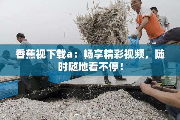 香蕉视下载a：畅享精彩视频，随时随地看不停！