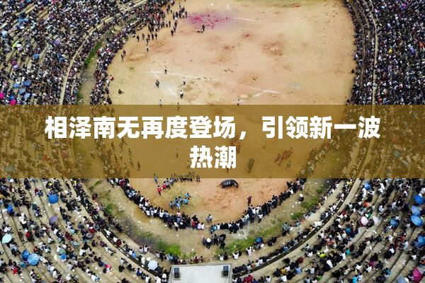 相泽南无再度登场，引领新一波热潮