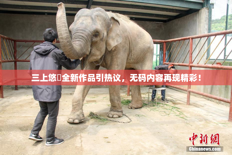 三上悠亜全新作品引热议，无码内容再现精彩！