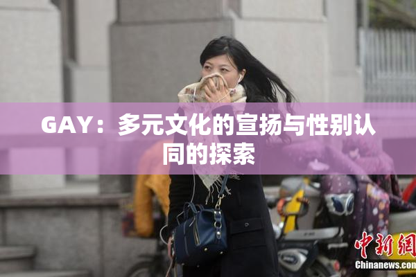 GAY：多元文化的宣扬与性别认同的探索
