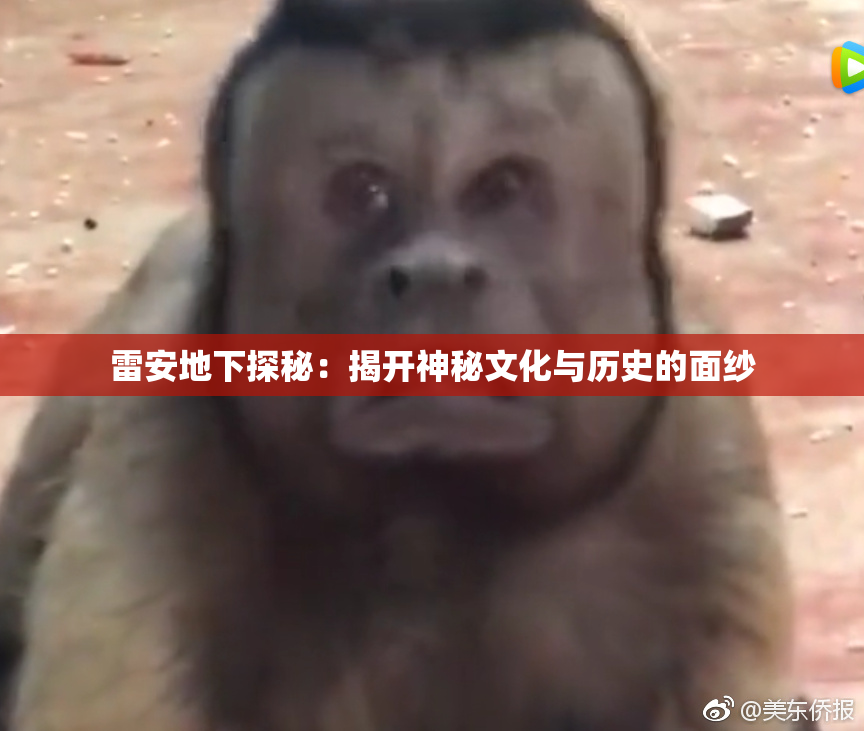 雷安地下探秘：揭开神秘文化与历史的面纱