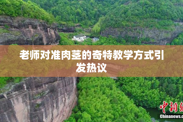 老师对准肉茎的奇特教学方式引发热议