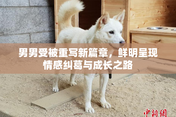 男男受被重写新篇章，鲜明呈现情感纠葛与成长之路