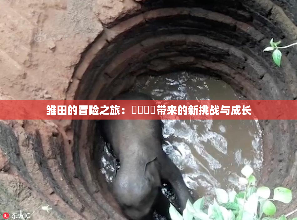 雏田的冒险之旅：❌‌❌‌带来的新挑战与成长