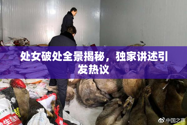 处女破处全景揭秘，独家讲述引发热议