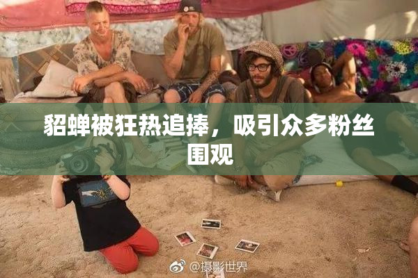 貂蝉被狂热追捧，吸引众多粉丝围观