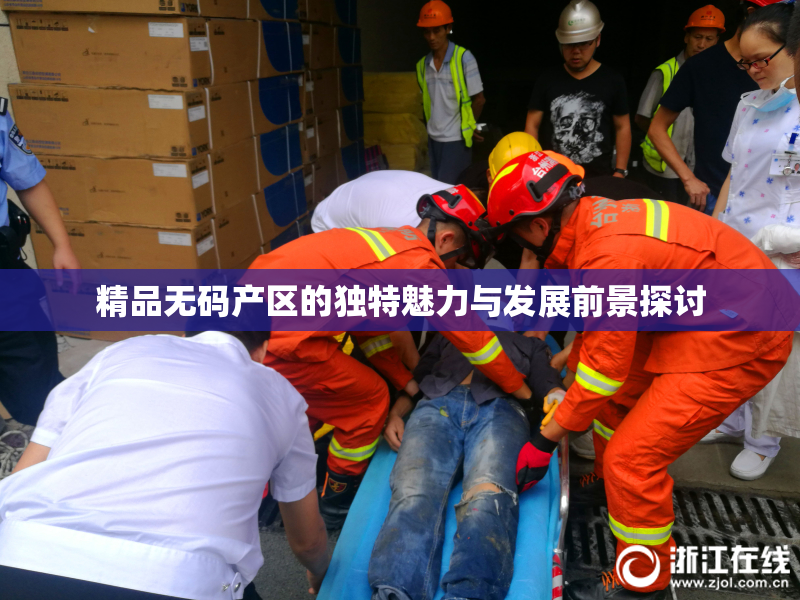 精品无码产区的独特魅力与发展前景探讨