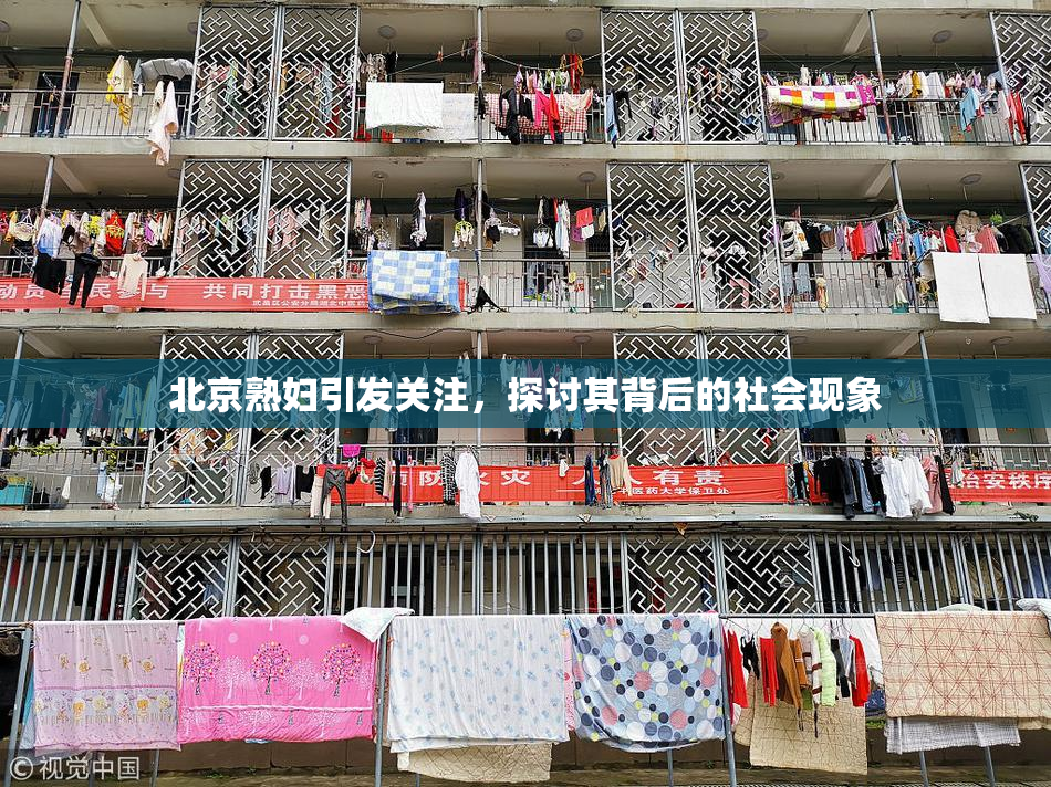 北京熟妇引发关注，探讨其背后的社会现象