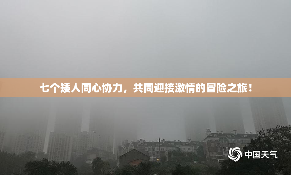 七个矮人同心协力，共同迎接激情的冒险之旅！