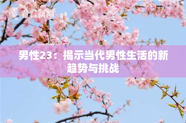 男性23：揭示当代男性生活的新趋势与挑战