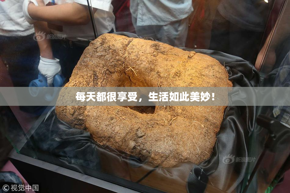 每天都很享受，生活如此美妙！