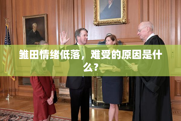 雏田情绪低落，难受的原因是什么？