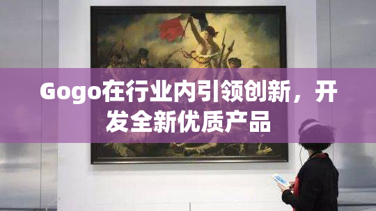 Gogo在行业内引领创新，开发全新优质产品