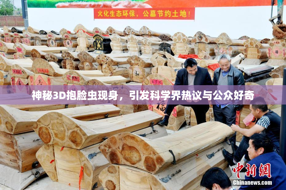 神秘3D抱脸虫现身，引发科学界热议与公众好奇