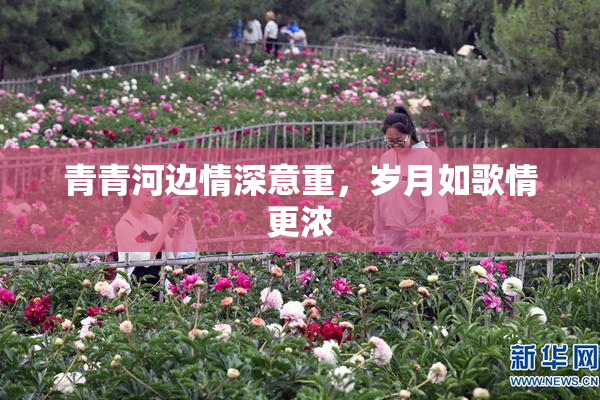 青青河边情深意重，岁月如歌情更浓