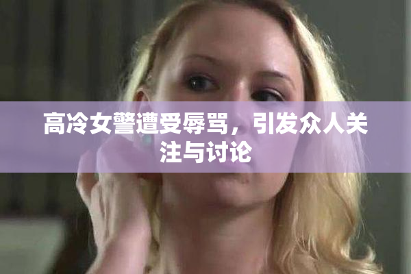 高冷女警遭受辱骂，引发众人关注与讨论
