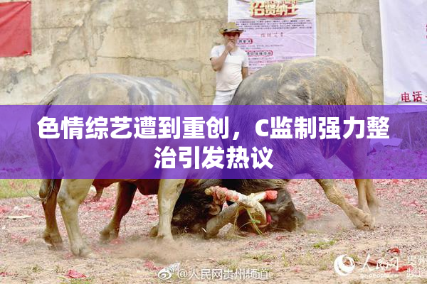 色情综艺遭到重创，C监制强力整治引发热议