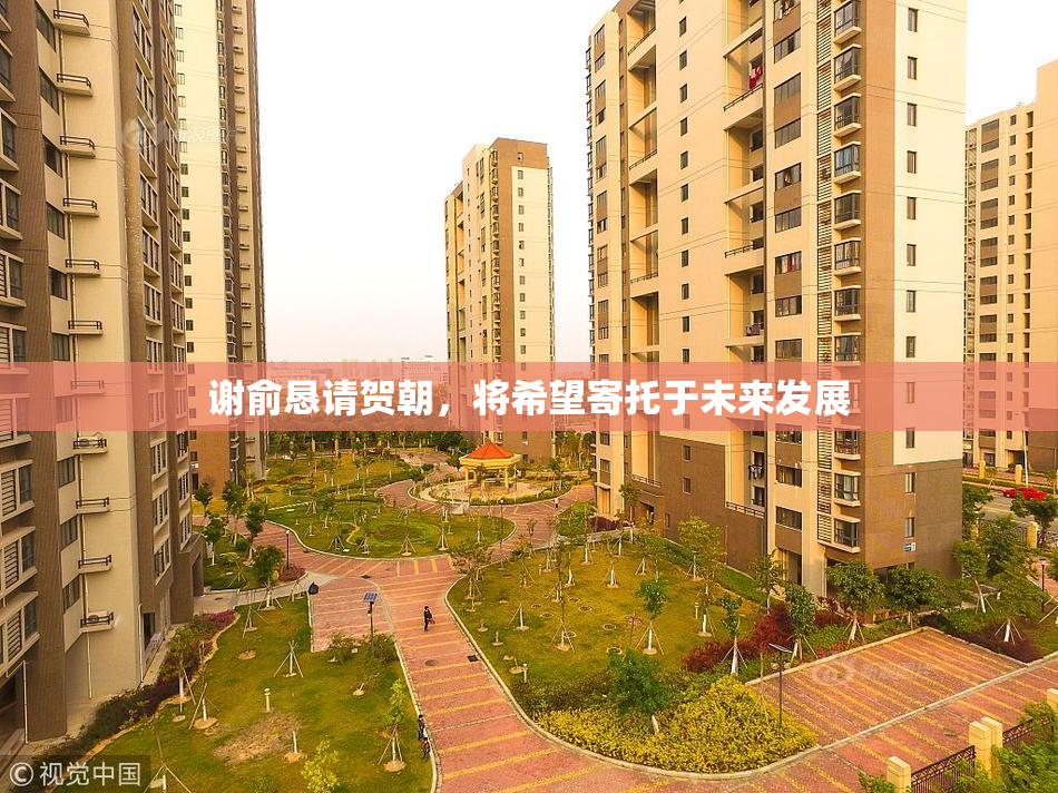 谢俞恳请贺朝，将希望寄托于未来发展