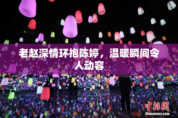 老赵深情环抱陈婷，温暖瞬间令人动容