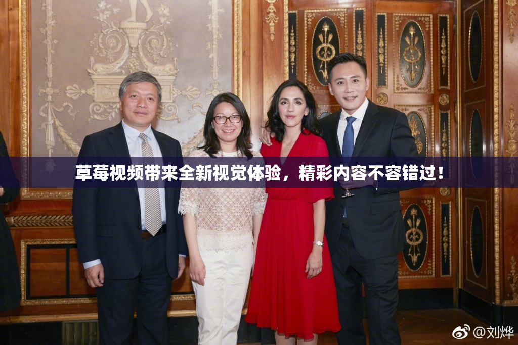 草莓视频带来全新视觉体验，精彩内容不容错过！