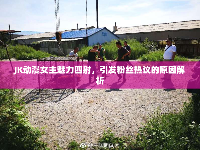 JK动漫女主魅力四射，引发粉丝热议的原因解析
