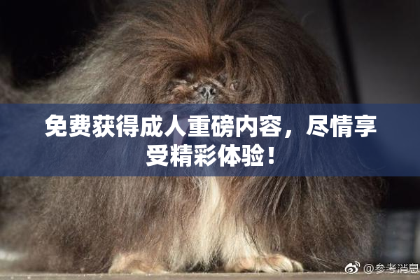 免费获得成人重磅内容，尽情享受精彩体验！