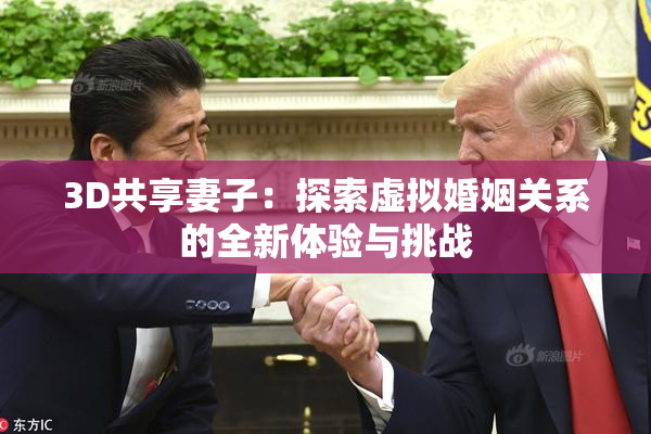 3D共享妻子：探索虚拟婚姻关系的全新体验与挑战