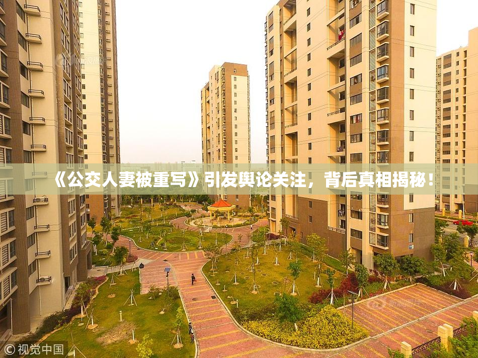 《公交人妻被重写》引发舆论关注，背后真相揭秘！