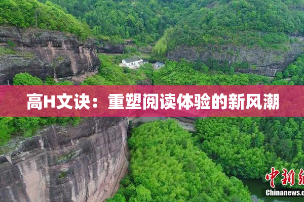 高H文诀：重塑阅读体验的新风潮