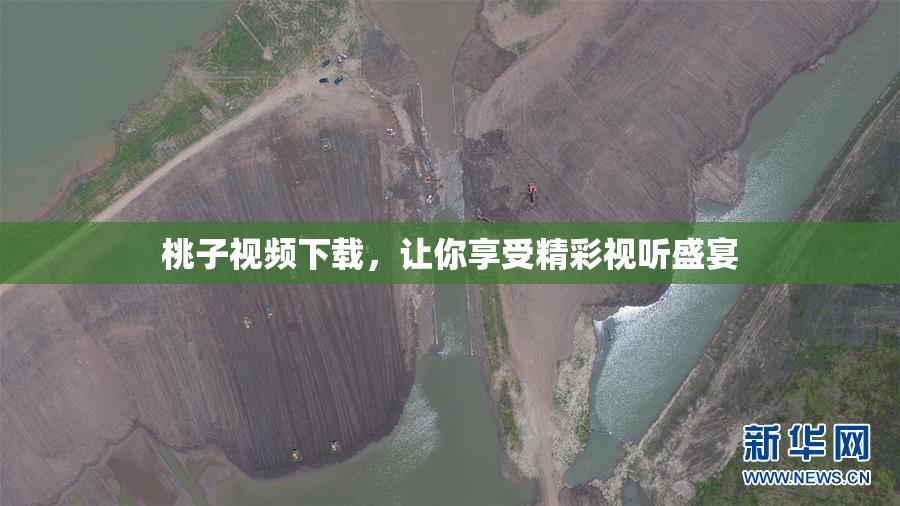桃子视频下载，让你享受精彩视听盛宴