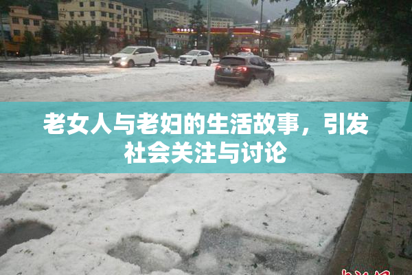 老女人与老妇的生活故事，引发社会关注与讨论