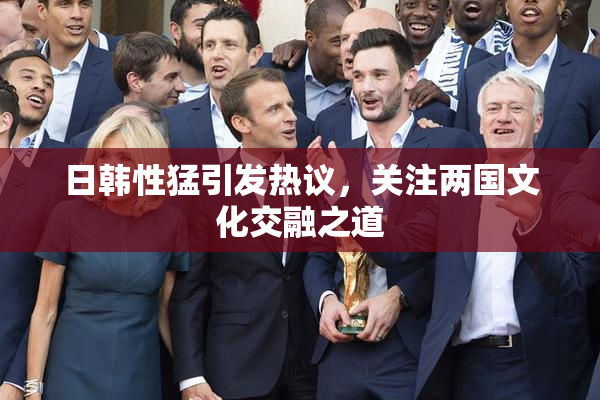 日韩性猛引发热议，关注两国文化交融之道