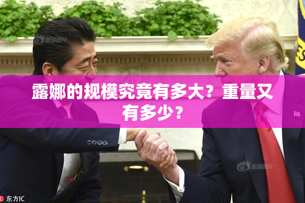 露娜的规模究竟有多大？重量又有多少？