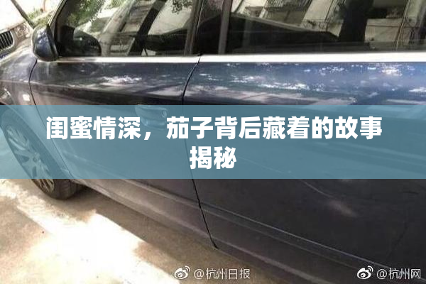 闺蜜情深，茄子背后藏着的故事揭秘