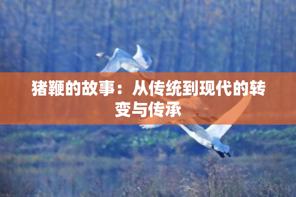 猪鞭的故事：从传统到现代的转变与传承